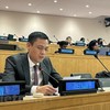 越南驻联合国代表邓黄江大使在开幕式发言。（图片来源：越通社）