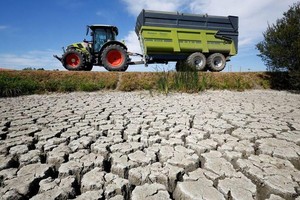 法国2022年8月8日遭遇历史性旱灾的田地。（图片来源：路透社）