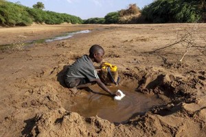 非洲长期干旱导致严重缺水。（图片来源：UNICEF）