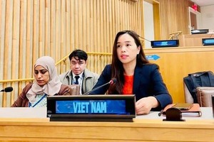 越南驻联合国代表团副团长黎氏明钗。