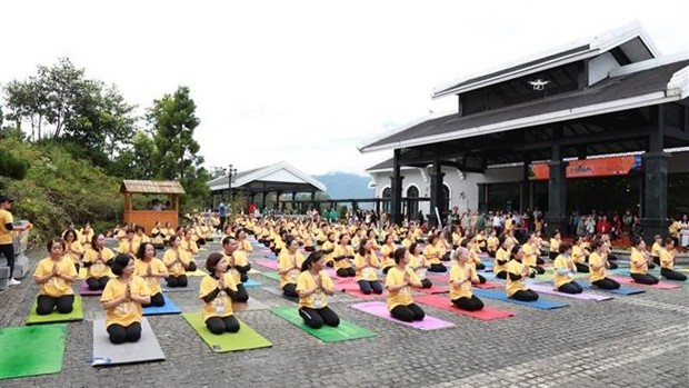 题为“向太阳致敬-向番西邦峰致敬”的瑜伽表演活动。（图片来源：越通社）