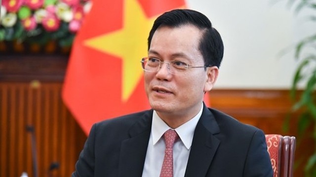 越南外交部副部长何金玉。（图片来源：越通社）