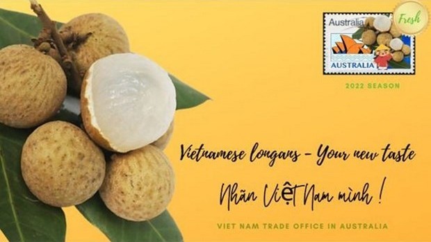 越南驻澳大利亚商务处与各家进口商配合举行澳大利亚越南龙眼周。