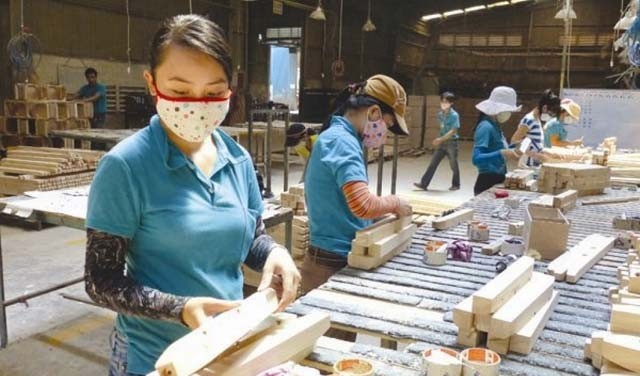 附图：越南木材生产活动。