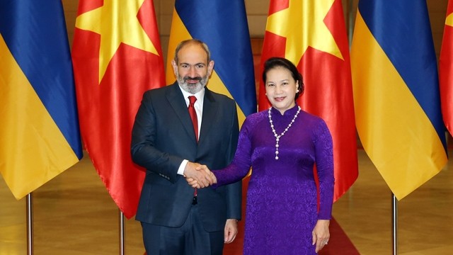 国会主席阮氏金银会见尼科尔•帕什尼扬总理。（维玲 摄）