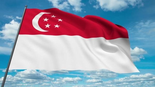 附图：新加坡国旗。