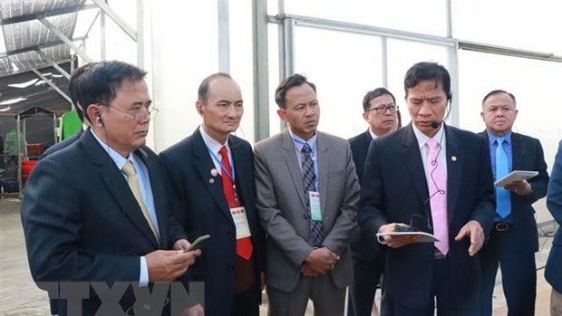 越南农民协会主席滔春崇带领老挝和柬埔寨代表团团长参观了大叻Hasfarm公司。（图片来源：越通社）