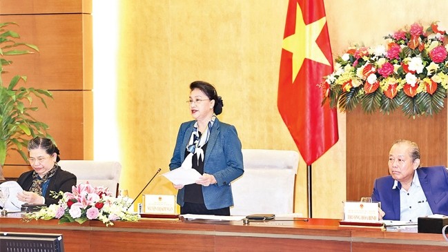 国会主席阮氏金银在会议上发言。（图片来源：越通社）