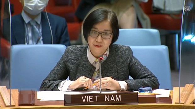 越南驻联合国代表团副团长、公使衔参赞阮芳茶。（图片来源：越通社）