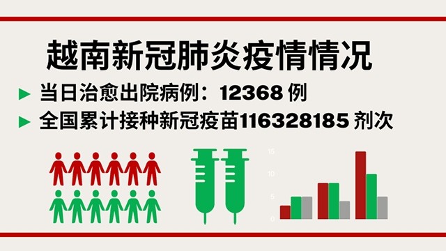 11月26日越南新增新冠确诊病例13109例【图表新闻】