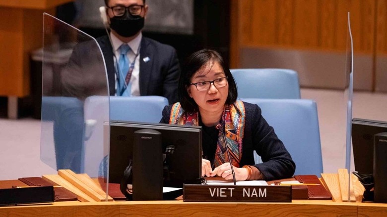 越南常驻联合国代表团副团长阮芳茶公使衔参赞。