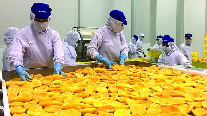 附图：越南农产品加工。