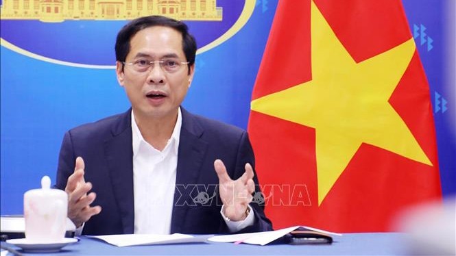 越南外交部长裴青山。（图片来源：越通社）
