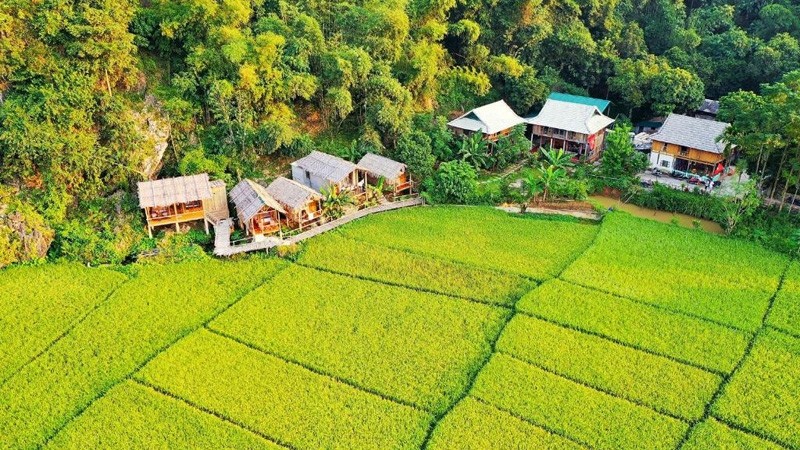 绿色旅游、可持续旅游正成为越南游客喜爱的趋势。