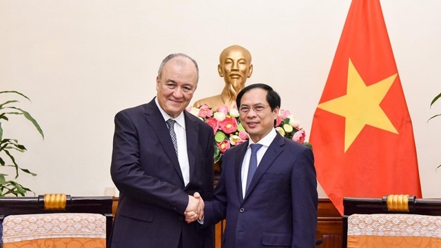  越南外长裴青山与阿尔及利亚外交部秘书长拉希德•凯德握手。